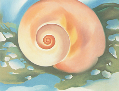 Pink Shell with Seaweed Georgia O'Keeffe